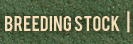 Clun Forest Sheep Breeding Stock Clun Forest Sheep Breeding Stock